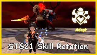 Dragon Nest SEA  Adept STG21 Game Play Rotation Before Lv99 Update [upl. by Nerahs]