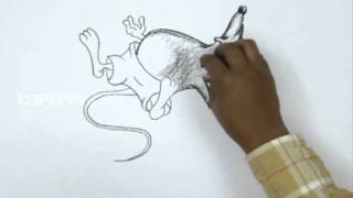 How to Draw a Sleeping Mouse [upl. by Marcela]