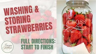 How to Wash and Store Fresh Strawberries From Start to Finish  Live with Amy Cross [upl. by Azarcon]