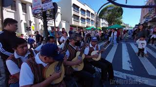 Pasko Ng Madla cover by Philippine Rondalla Serenata — Street Music Philippines [upl. by Eisle704]