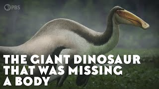 The Giant Dinosaur That Was Missing a Body [upl. by Weinstein]