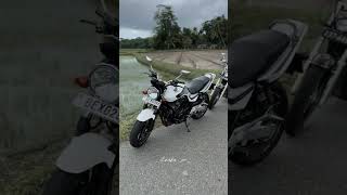 Sl bobber bike chopperbike bikelover trendingshorts viralvideo [upl. by Annayar]