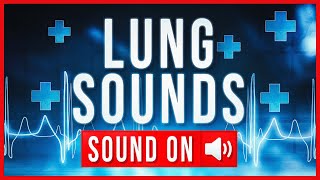 REAL LUNG SOUNDS  ASSESSMENT [upl. by Lienahs]