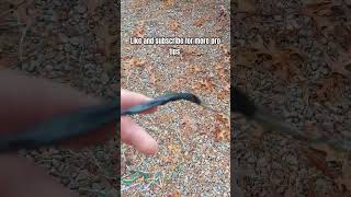 Another Pro Tip 👍homestead wiring electrical trailer automobile professional protips [upl. by Najar]