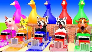 5 Giant Duck Cartoon Cow Elephant Tiger Dinosaur Paint Wild Animals Crossing Fountain Animation 1239 [upl. by Razaele86]