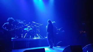 Damian Marley  Patience LIVE Paris 2017 [upl. by Ahsataj]