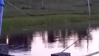 Rhonda Smith Bass fishing August 14 2015 [upl. by Kamaria]