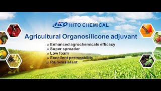 Hito Chem produce Silicone Surfactant Organosilicone surfactantSpray adjuvant for agriculture [upl. by Ekez]