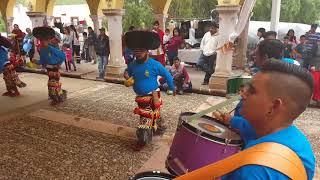 DANZA MATLACHINES DE ZACATECAS [upl. by Euqinaj48]