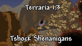 Terraria 13 Tshock Shenanigans Bone Serpents Ancient Visions and Coin Waves [upl. by Simonette861]