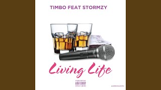 Living Life feat Stormzy [upl. by Issiah]