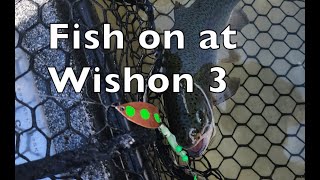 Fish on at Wishon 3 [upl. by Eelam]