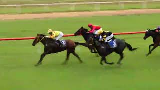 Mareeba 20240407 Race 4 [upl. by Dellora]