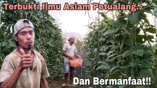 Terbukti Ilmu Aslam Petualang amp Bermanfaat  Cooking Mukbang [upl. by Ora]