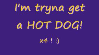 LMFAO Hot Dog Lyrics [upl. by Leidba]