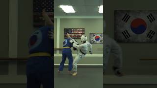 Taekwondo amp Vovinam Sparring shorts [upl. by Golanka]