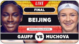 GAUFF vs MUCHOVA • WTA Beijing 2024 Final • LIVE Tennis Watchalong Stream [upl. by Akit]