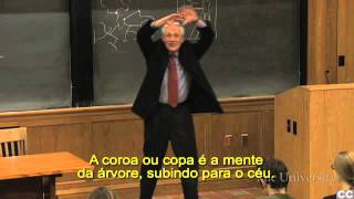 Introdução à Teoria da Literatura 15 com Paul Fry de Yale [upl. by Sillaw]