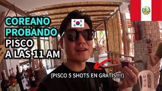 COREANO PROBANDO PISCO EN GRATIS A LAS 11 am POR PRIMERA VEZ  PERU 4 [upl. by Olenta]