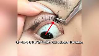 Why you havent fallen in love with Hanakoko lashes The ultimate guide to how to apply our glueless [upl. by Ztnahc444]