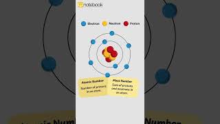 CBSE Class 9 Science  Atoms and Molecules  Fun Learning with Notebook notebook cbse cbseboard [upl. by Adnarram872]