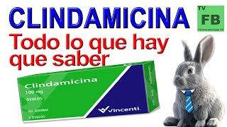 CLINDAMICINA Para qué Sirve Cómo se toma y todo lo que hay que saber ¡Medicamento Seguro👨‍🔬💊 [upl. by Siro]