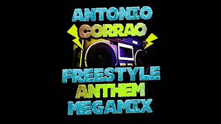 Freestyle Anthem Megamix Old School [upl. by Assele536]