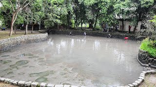 Bosque da Princesa passa por manutenção em Pindamonhangaba [upl. by Olodort457]