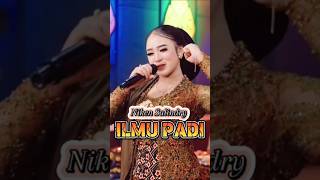 Ilmu padi Niken Salindry  Dangdut Koplo Virall  Musik Indonesia [upl. by Egiedan]