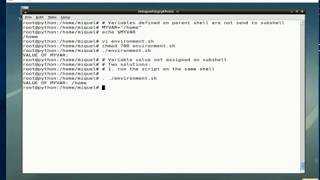 Explaining export in Linux bash [upl. by Montgomery923]