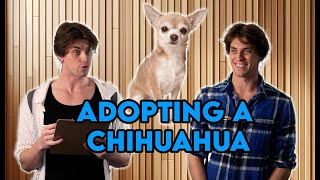 Adopting a Chihuahua [upl. by Aliber]