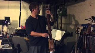 Krappy guitars electric upright bass [upl. by Lisbeth]