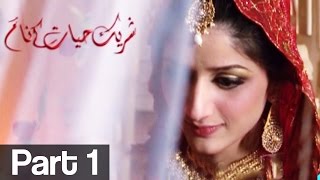 Shareek e Hayyat kay Naam Part 1  ATV [upl. by Anig]