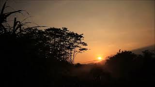 pemandangan senja background video [upl. by Ladnar]