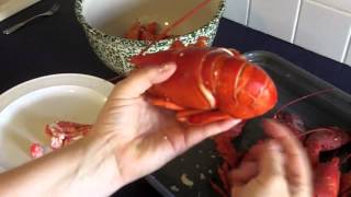 How to Get the Meat out of a Boiled Lobster [upl. by Maridel]