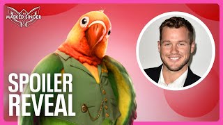 Spoiler Reveal Lovebird is Colton Underwood  Season 11  The Masked Singer Spoilers [upl. by Adnarym681]