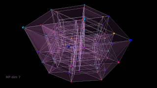 Hypercubes  Measure Polytopes dimensions 4  8 [upl. by Smail]