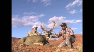 Crazy Unique Cactus Buck Mule Deer  MossBack [upl. by Eintrok904]