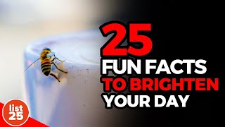 25 Fun Facts to Brighten Your Day [upl. by Hendry21]