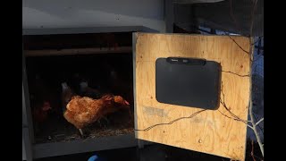 CHICKCOZY Chicken Coop Heater [upl. by Innos532]