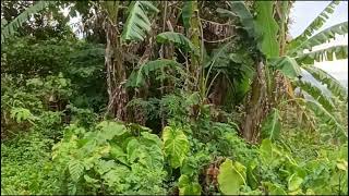 Biliran Island Lookout Spot Philippines [upl. by Wende]