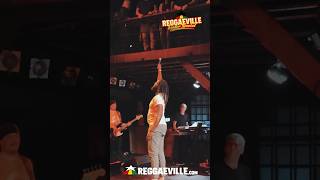 Yaksta Live at REGGAEVILLE EASTER SPECIAL 2024 in HAMBURG  Fabrik 🔥 [upl. by Meekah346]