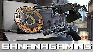 CSGO Update PreOrder Real 5 Year Coin R8 amp Negev changes  Canals [upl. by Jo-Anne]