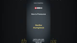 Bacillus thuringiensis Pronunciation  Microbiology Pronunciation Guide  Microbial Nomenclature [upl. by Atat886]