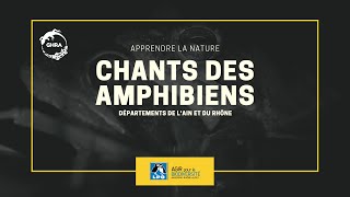 Apprendre la nature  Les chants des amphibiens [upl. by Emyle366]