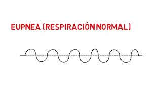 SONIDO EUPNEA [upl. by Audsley]