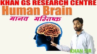 Biology  Human Brain मानव मस्तिष्क  Khan GS Research Center  Patna [upl. by Aleinad37]