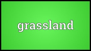 Grassland Meaning [upl. by Erdrich]