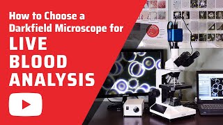 How to Choose a Darkfield Microscope for for Live Blood Analysis HD [upl. by Merrell486]