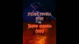 Burning Godzilla 1995 vs Thermo Godzilla 2019 [upl. by Nuaj131]